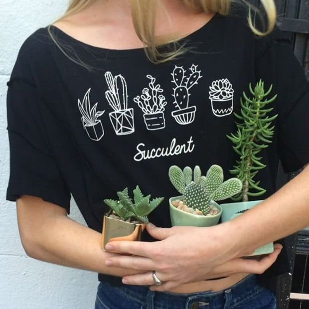 Succulent